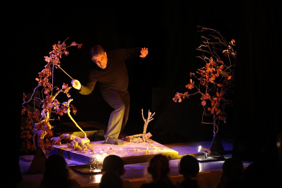 Spectacle jeune public "Les petits êtres de bois"