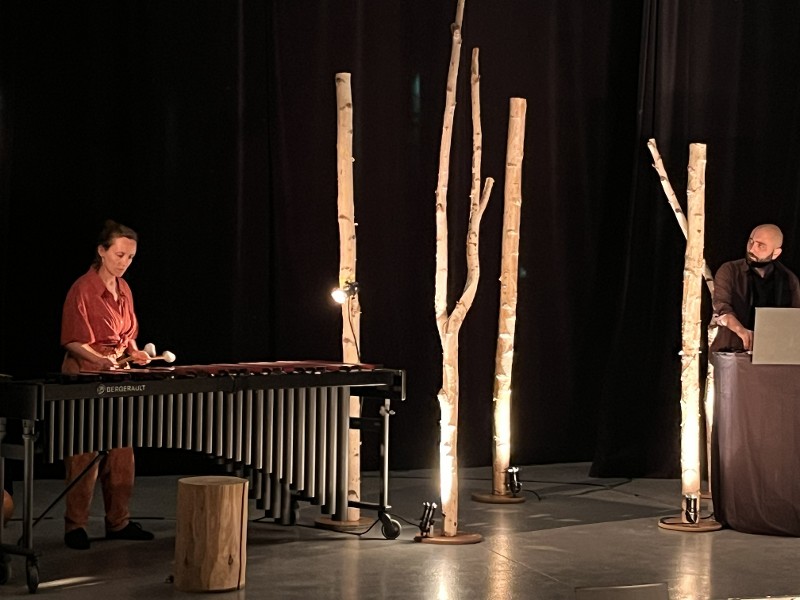Spectacle "Au plus secret des bois"